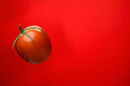 Tomatoes on red backgroundの写真素材