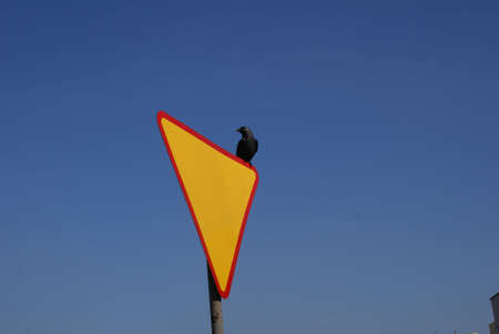 sign and a birdの写真素材