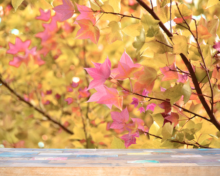 Wood material background for product display.の写真素材