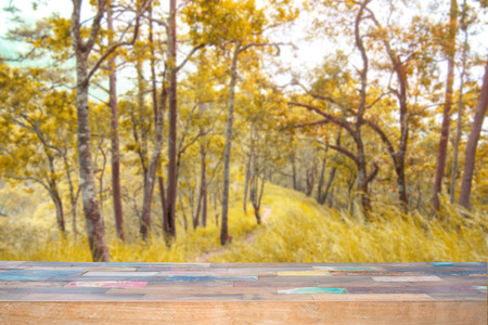 Wood table for display your productsの写真素材