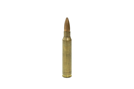Golden ammo on white background.