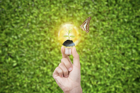 hand holding light bulb against tree with butterfly on green nature background. Ecological and energy conceptの写真素材