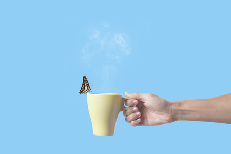 hand holding green coffee cup with butterfly on blue background. concept drink freedom creativity imagination inspiration.の写真素材