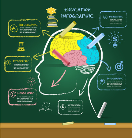 Brain drawing for education with chalk on chalkboard.can used for banner,infographic,data,presentation business,chart,sign,brochure,leaflet ,web and instruction media.Vector illustration.のイラスト素材