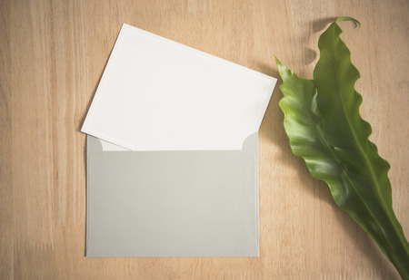 Blank white greeting card with envelope and green leaf. for mockup template.の写真素材