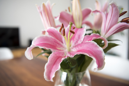 Bouquet pink lily flowers in glass vase on wood table in room.の写真素材