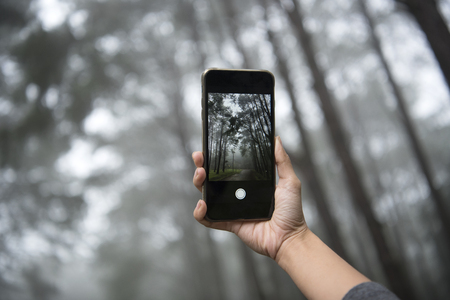traveler photographing with mobile phone and enjoying a beautiful nature forest.