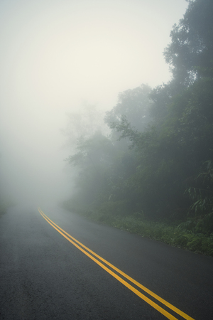 country road and journey way of traveller to the nature in the mountain and the rainforest.の写真素材