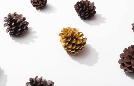 Autumn composition, frame made of pine cones on whitebackground. Flat lay, top viewの写真素材