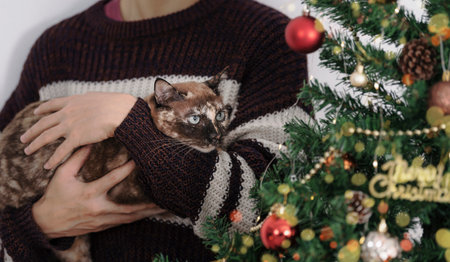 Man hug cat with christmas tree background. Happy new year and merry christmas celebration with...