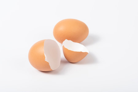 Eggs isolated on white studio background