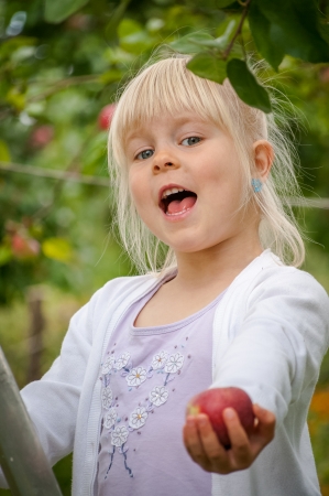 happy child breaks the apples from the treeの写真素材