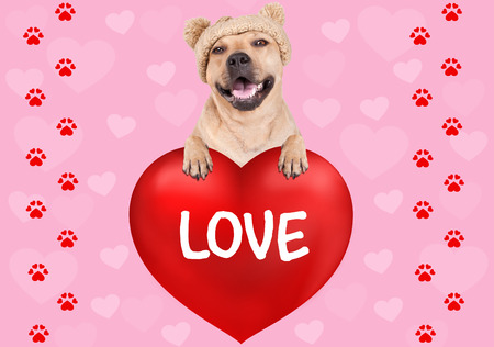 lovely cute dog hanging with paws on big valentine's day heart with text Love on pink background with hearts and foot printの写真素材