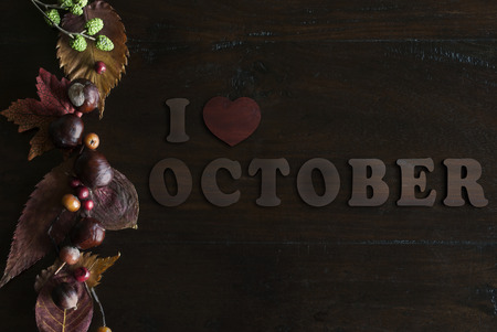 beautiful rustic fall flat lay with leaves, berries, chestnuts and letters I love october on wooden backgroundの写真素材