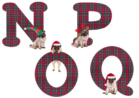 cute Christmas pug puppy dog alphabet letters N P O Q, isolated on white backgroundの写真素材