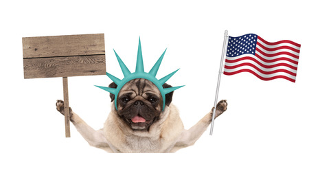 smiling pug puppy dog holding up American flag and blank wooden sign, wearing lady Liberty crown, isolated on white backgroundの写真素材