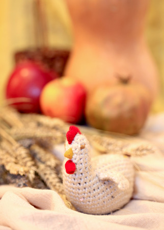 Chicken in the kitchenの写真素材