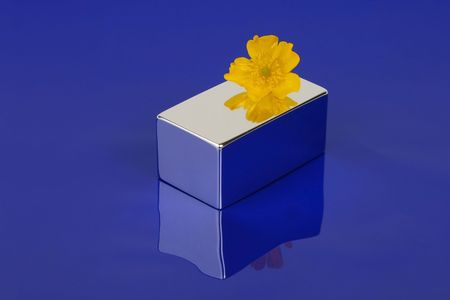 Yellow flower on top of a mirror on a blue backgroundの写真素材