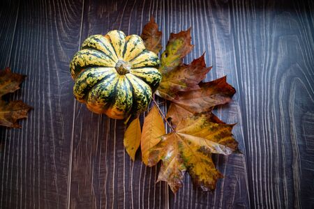 Autumn leaves on wooden table with a pumpkin.の写真素材