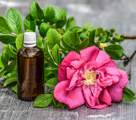 rose essential oilの写真素材