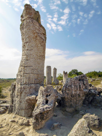 Stones in Stone forest near Varna in Bulgariaの写真素材