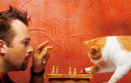 Two chess game players: man and catの写真素材