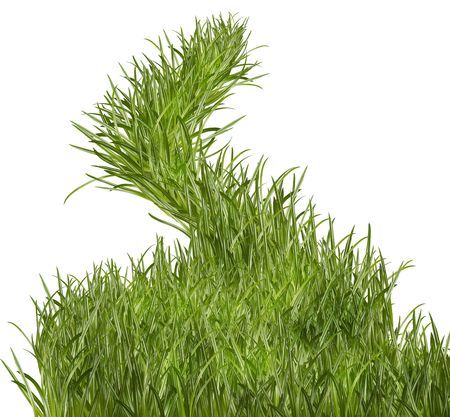 grassの写真素材