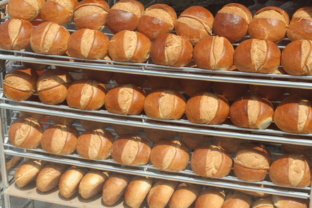 Fresh round loaves of bread in bakery shop.の写真素材