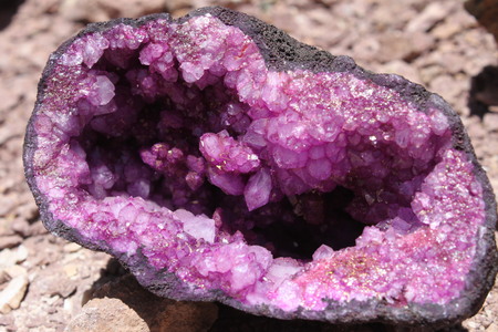 Amethyst catted in half. Inside beautiful violet shining crystals. Natural rough purple quartz stone for jewelryの写真素材