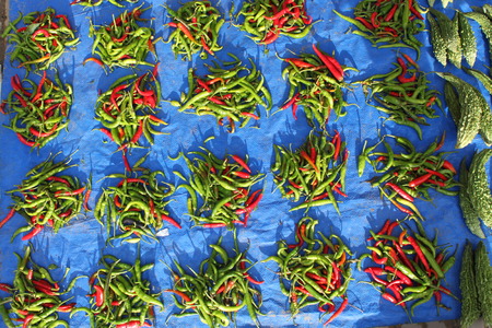 Small round piles of red and green chili pepper on blue background.の写真素材