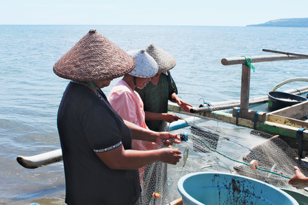 Three Asian women collecting small fishes from the net on the ocean coastの写真素材