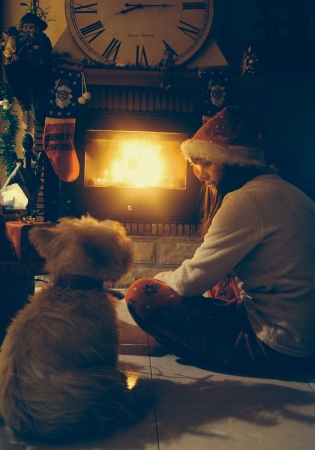 Dog and teenager beside the chimneyの素材