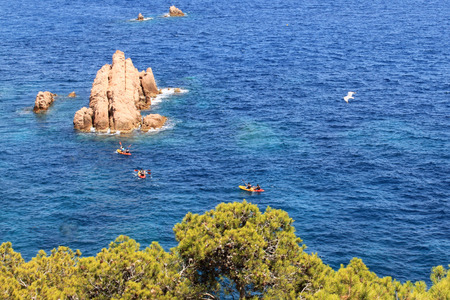 Seagull flying over the sea in Geronaの写真素材