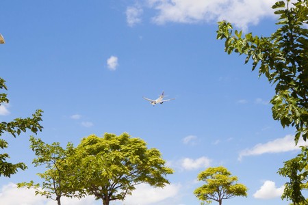 Plain fying over the trees about to land in summerの写真素材
