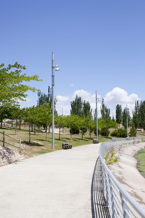 acacias and black poplars in a park in summer in Zaragoza, Spain