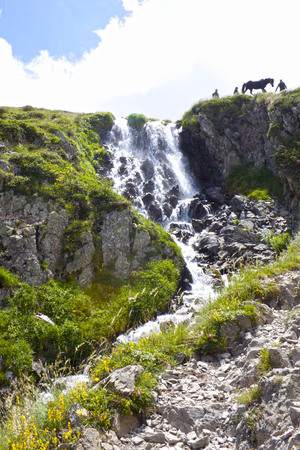waterfall in the mountain with a horse in the up zoneの写真素材