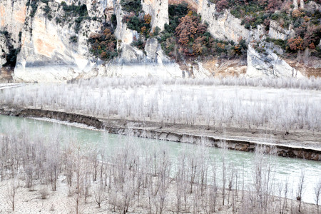 dry forest near a river in Montfalco, Spainの写真素材