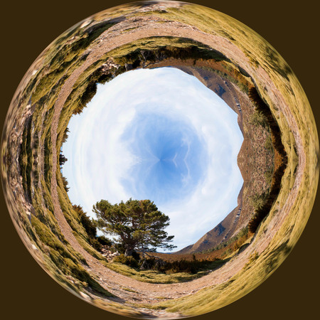 mountain landscape with an oakの写真素材