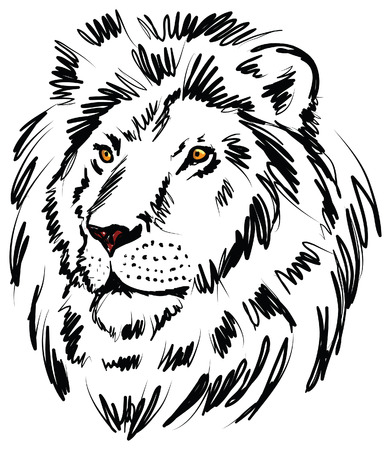lion illustrationのイラスト素材