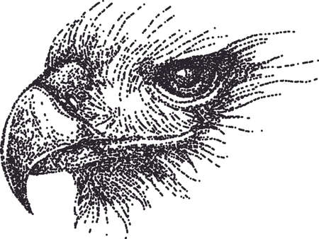eagle dots pattern vector illustrationのイラスト素材
