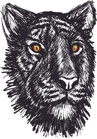 tiger realistic brush stroke vector illustrationのイラスト素材