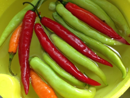 chilies in waterの素材