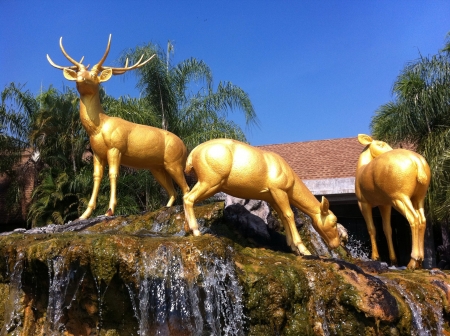 A gold deer on waterfall at CHIANGMAI NIGTH SAFARY, Chiang mai , THAILAND.の素材