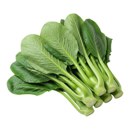 This close-up showcases fresh bok choy, a leafy green vegetable celebrated for its nutritional value and versatility in Asian cuisine, perfect for a healthy diet.の素材