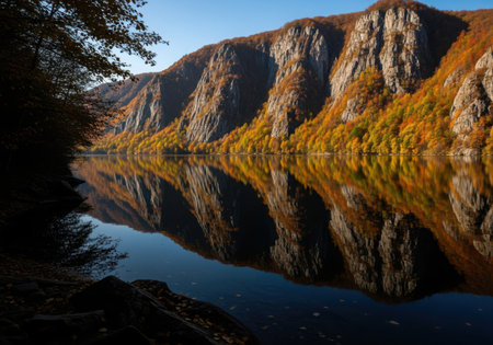 A serene lake reflects the vibrant colors of a cliffside forest in autumn. The scene is bathed in daylight, showcasing the interplay of light and shadow on the natural landscape. A tree in the foreground frames the view.の素材