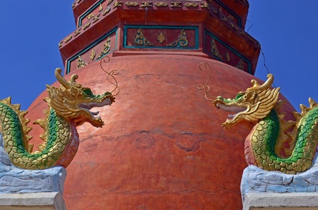 Two dragonsの写真素材