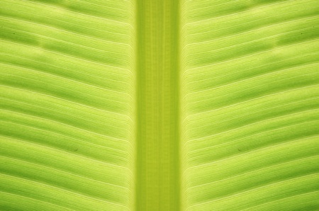 Texture and surfaceの写真素材