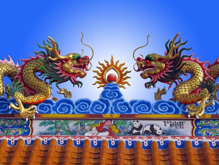 two dragonsの写真素材