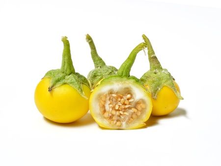 Eggplant isolated on a white backgroundの写真素材