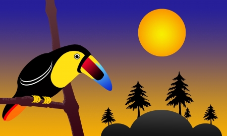 cartoon image of hornbillの写真素材